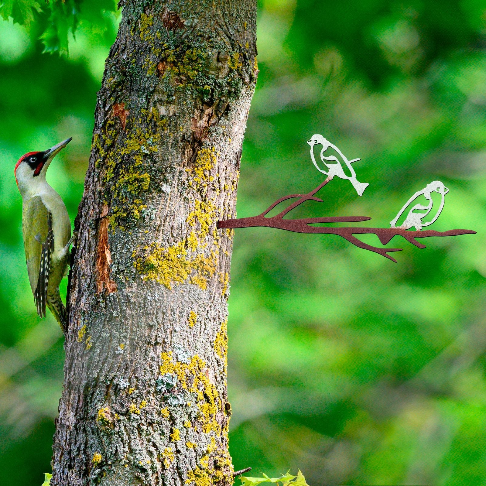 Objekt dekorativ për kopsht, dizajn Aberto, zog në degë, 28