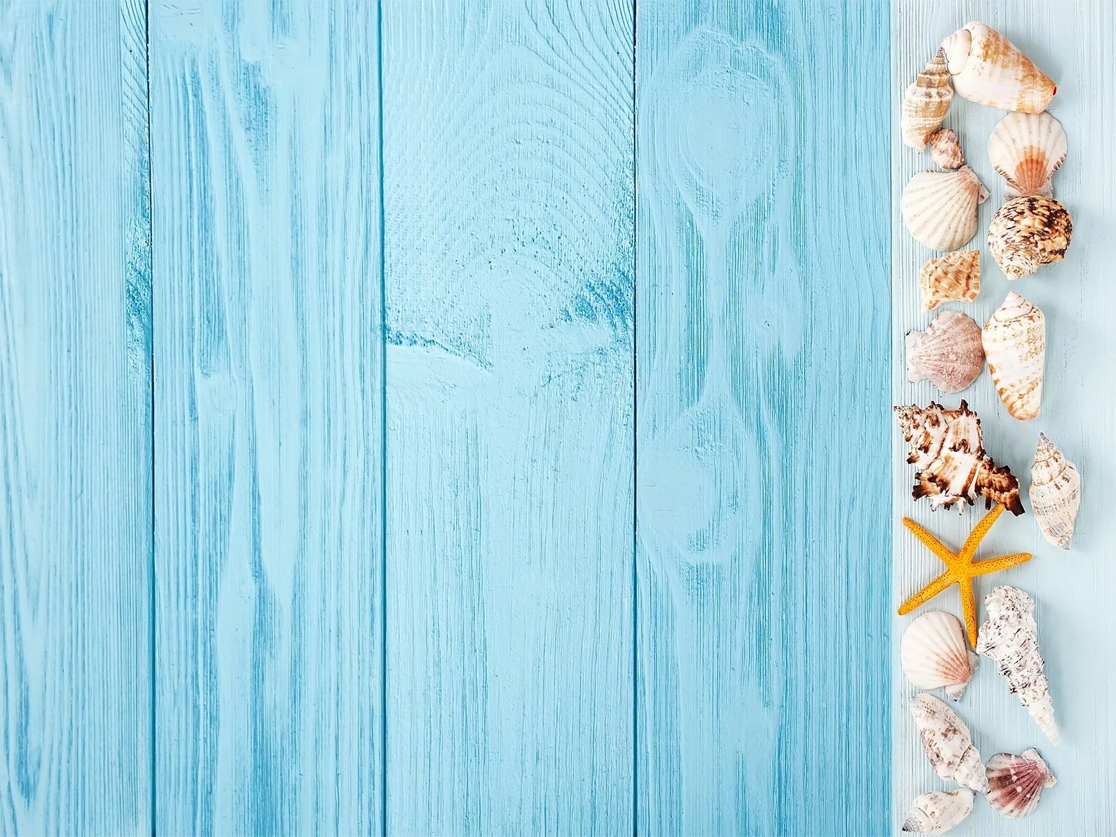 Set tapetash për banjo (2 copë), Mijolnir, CT-5215