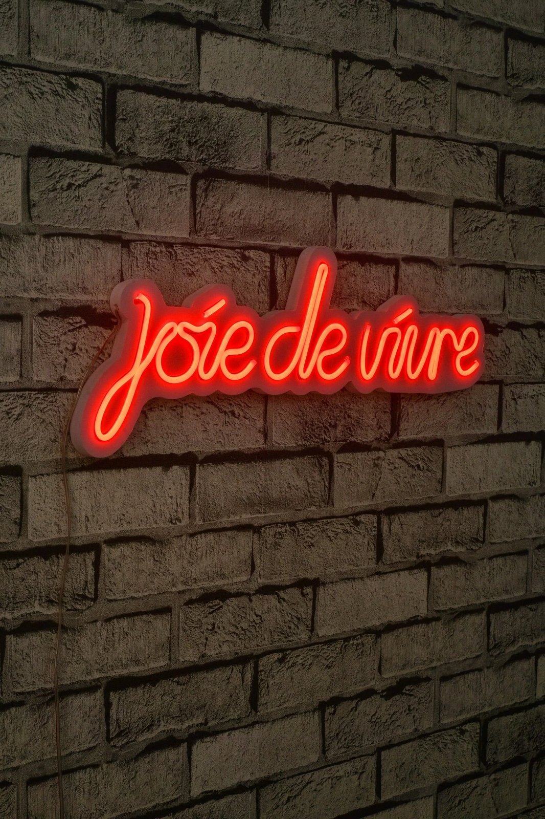 Dekor dritash LED plastike, Joie de Vivre, e kuqe