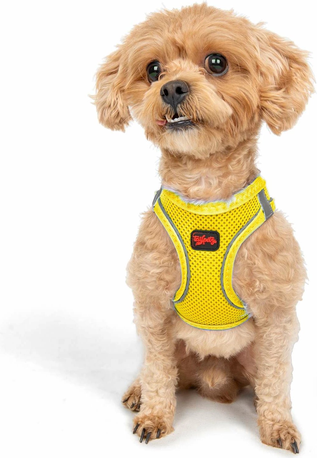 Parzmore për qen, Air-Mesh, e verdhë