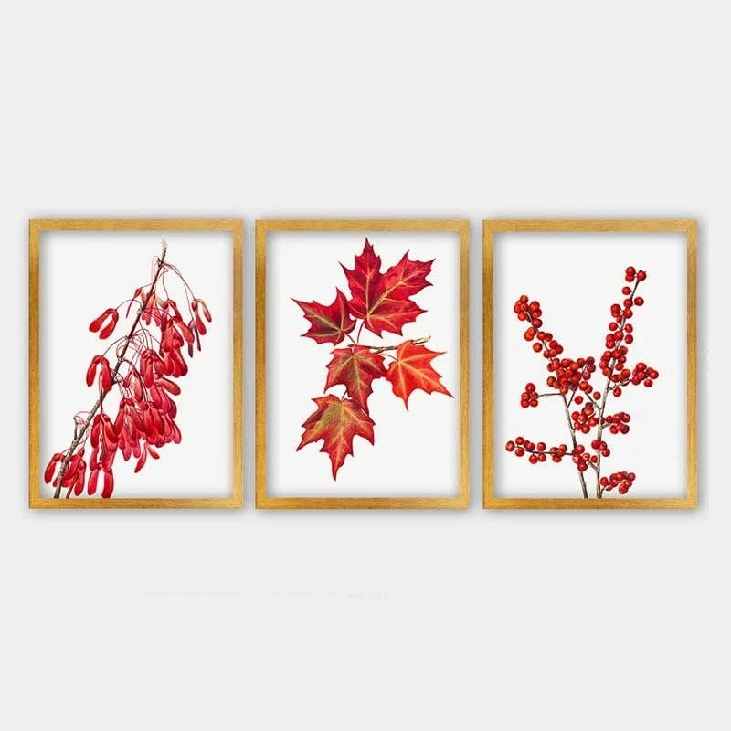 Pikturë dekorative me kornizë (3 copë), Wallity, 3AC_42613522_5575