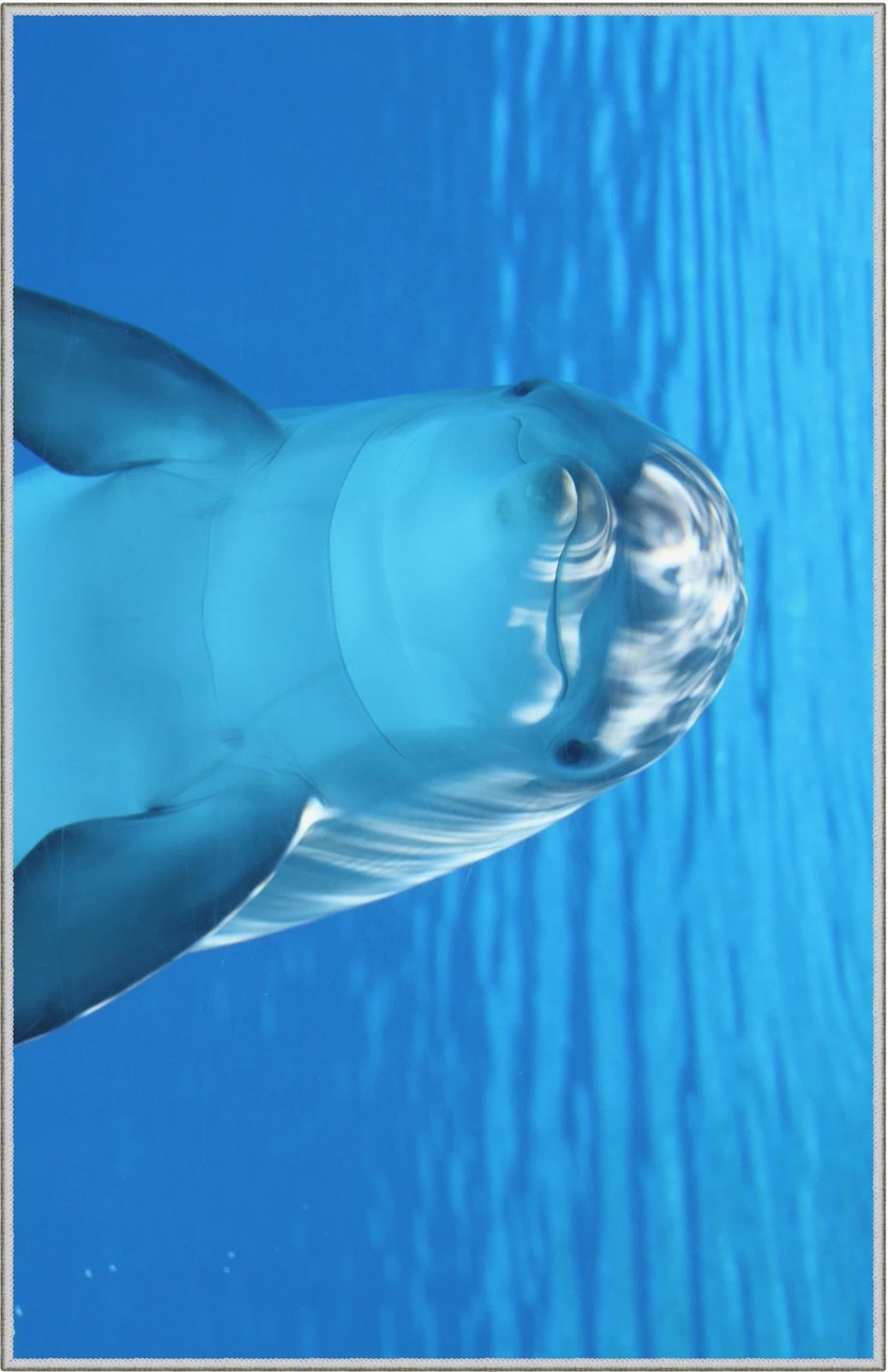 Qilim (140 x 220) Conceptum Hypnose, WOOKECE068