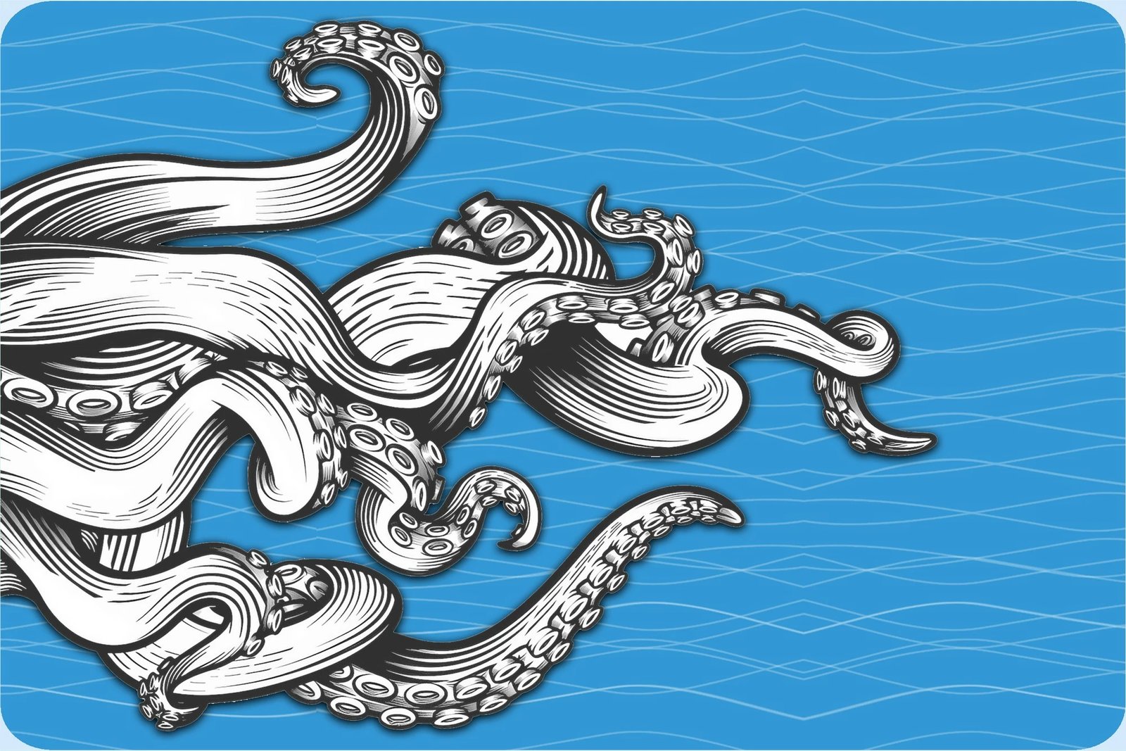 Set tapetash për banjo, 2 copë, Mijolnir, CT-5290