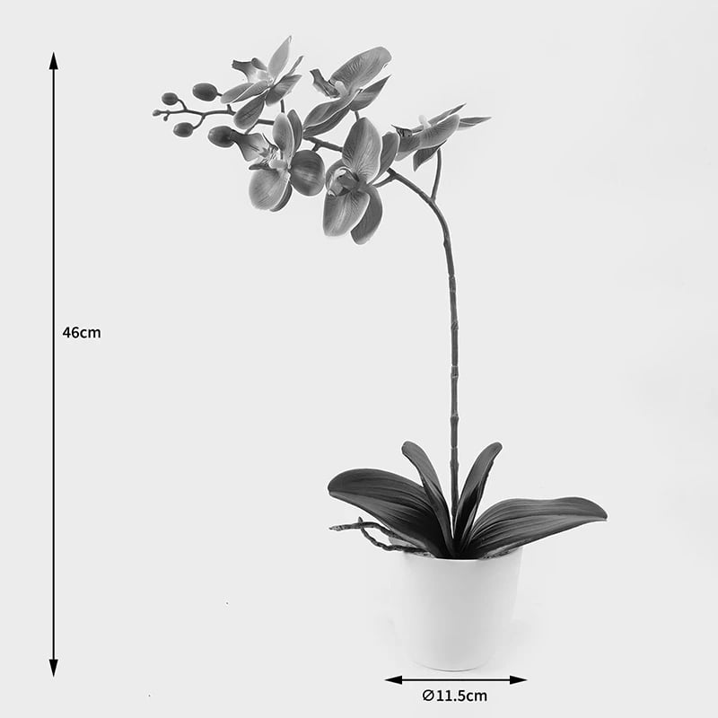 Bimë dekorative orkide në vazo, ngjyrë vjollcë e bardhë, 30x13x46cm