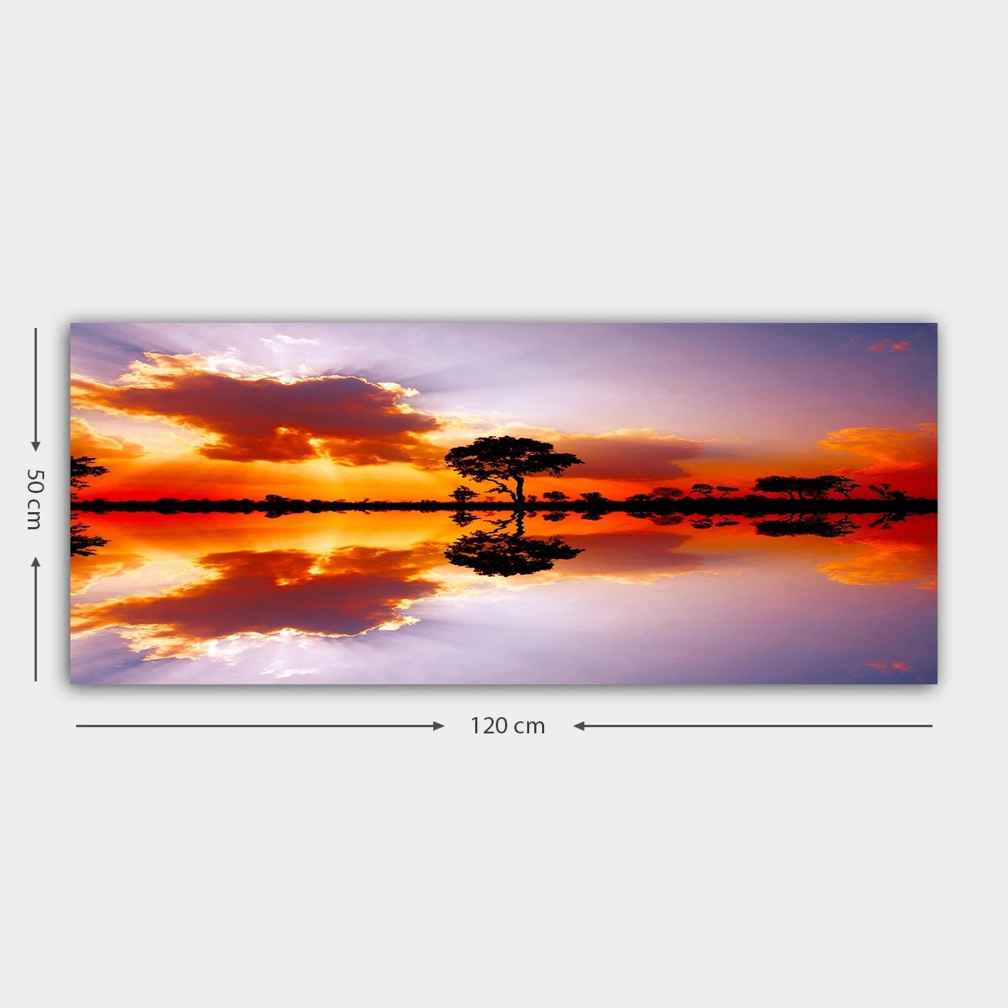 Pikturë dekorative në kanavacë, shumëngjyrëshe, YTY126202511_50120, 50x120cm