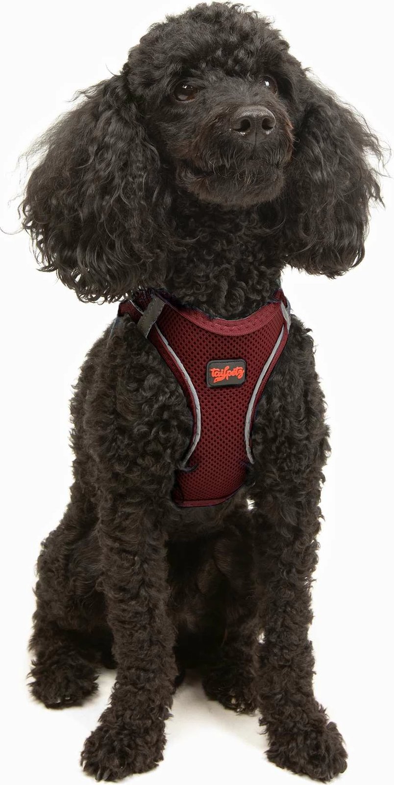 Parzmore për qen, Air-Mesh, ngjyrë e kuqe e errët (Claret Red)