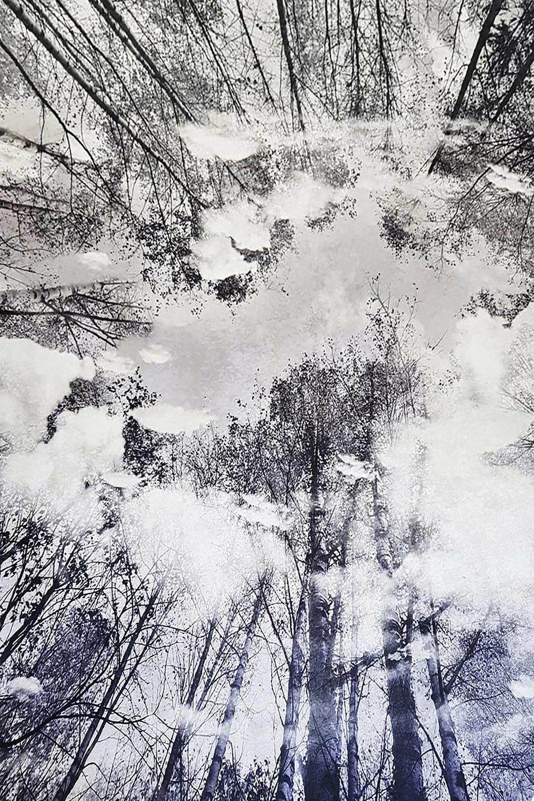 Qilim (80 x 120) Conceptum Hypnose, Hmnt787 Qilim (80 x 120) Conceptum Hypnose, Hmnt787