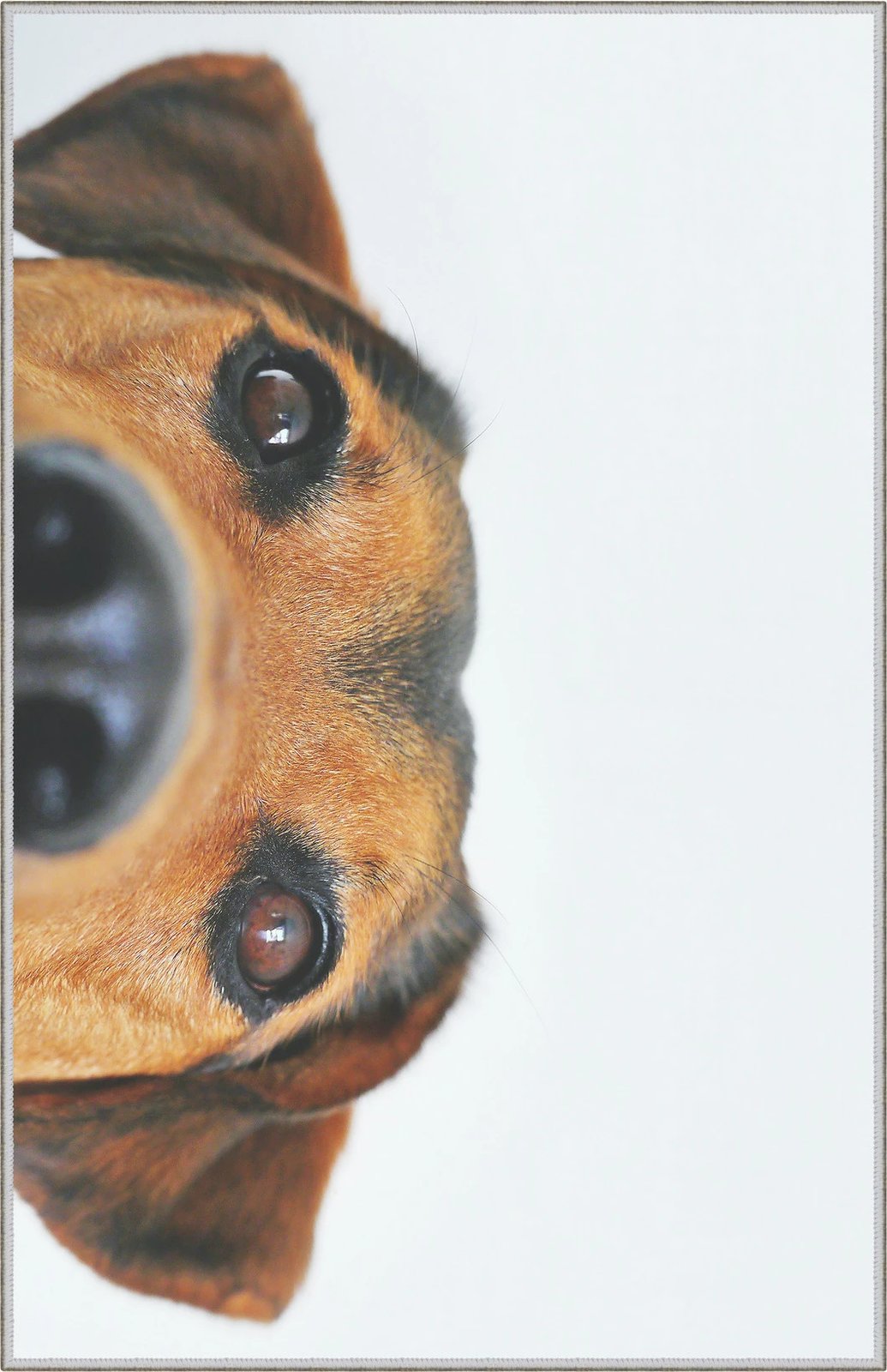 Qilim multingjyrësh, Conceptum Hypnose, WOOKECE082, 50x80cm