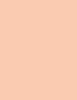Korrektor për femra Essence Cover Stick 10 Matt Naturelle, 6g