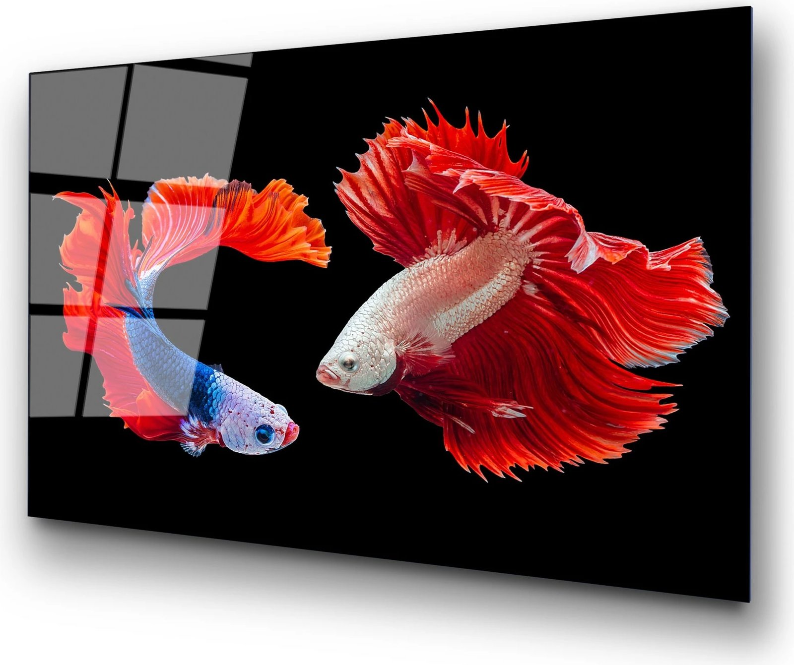 Pikturë dekorative prej xhami të temperuar, shumëngjyrëshe, Wallity UV-167, 70x100cm