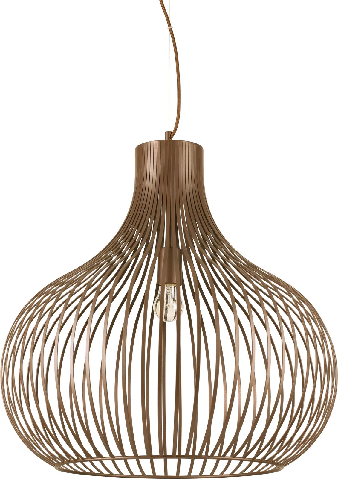 Llambë e varura  Onion sp1 d59