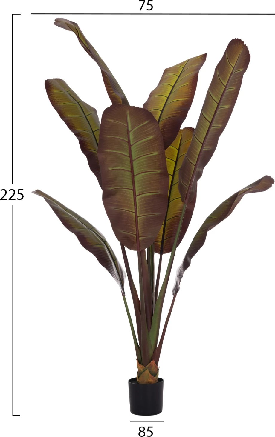 Bimë sintetike dekorative, banane japoneze, vazo, 85x75x225cm