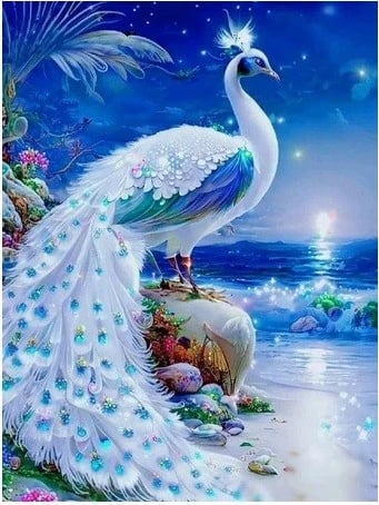 Set mozaiku me diamantë Norimpex White Swan, 40x30 cm, shumëngjyrësh