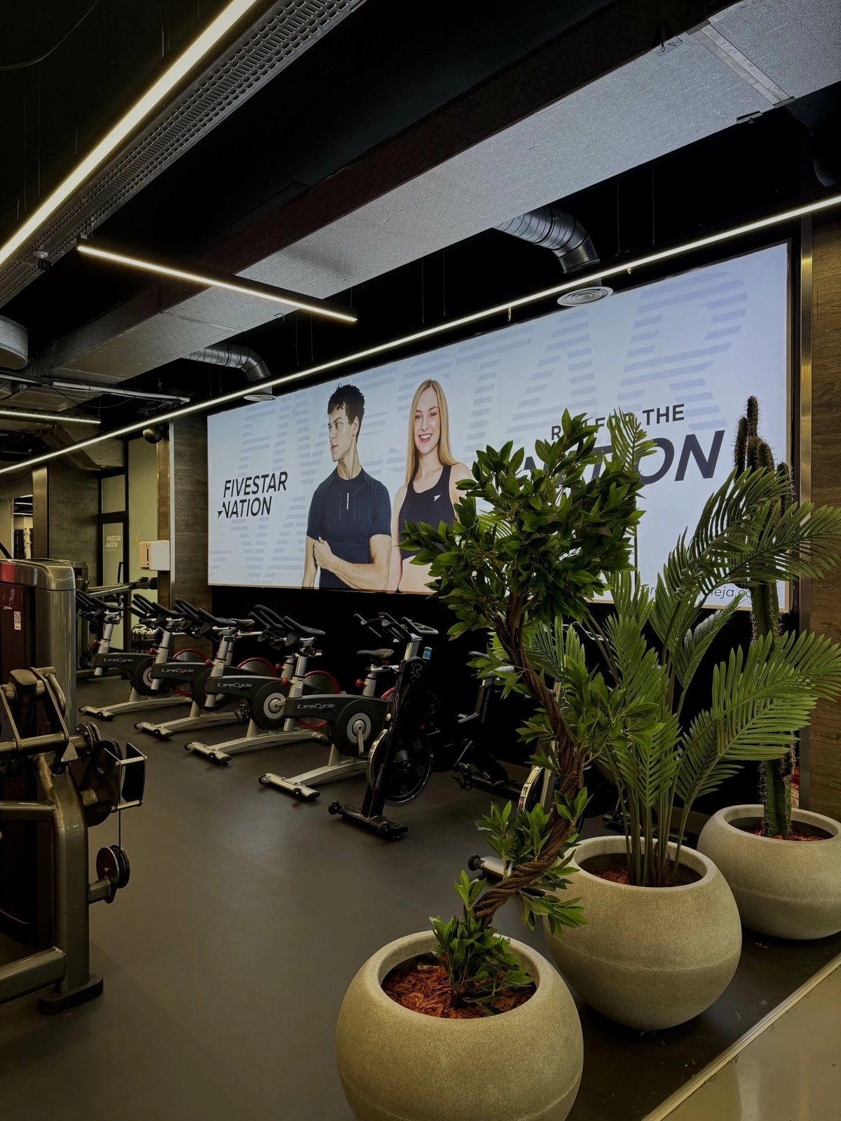 Pako fitnesi Fitstar UniClub, 6 mujore