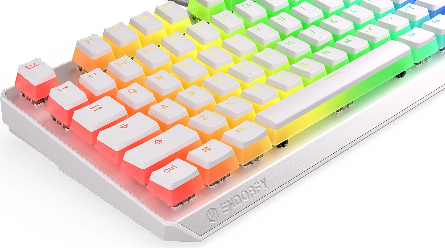 Tastierë gaming, Endorfy, TKL, RGB, e bardhë 