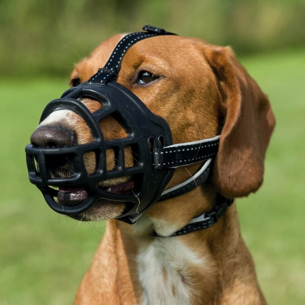 Maskë mbrojtëse për Qen Trixie, S