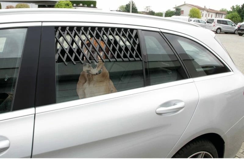 Porte Dritare Per Kafshe S