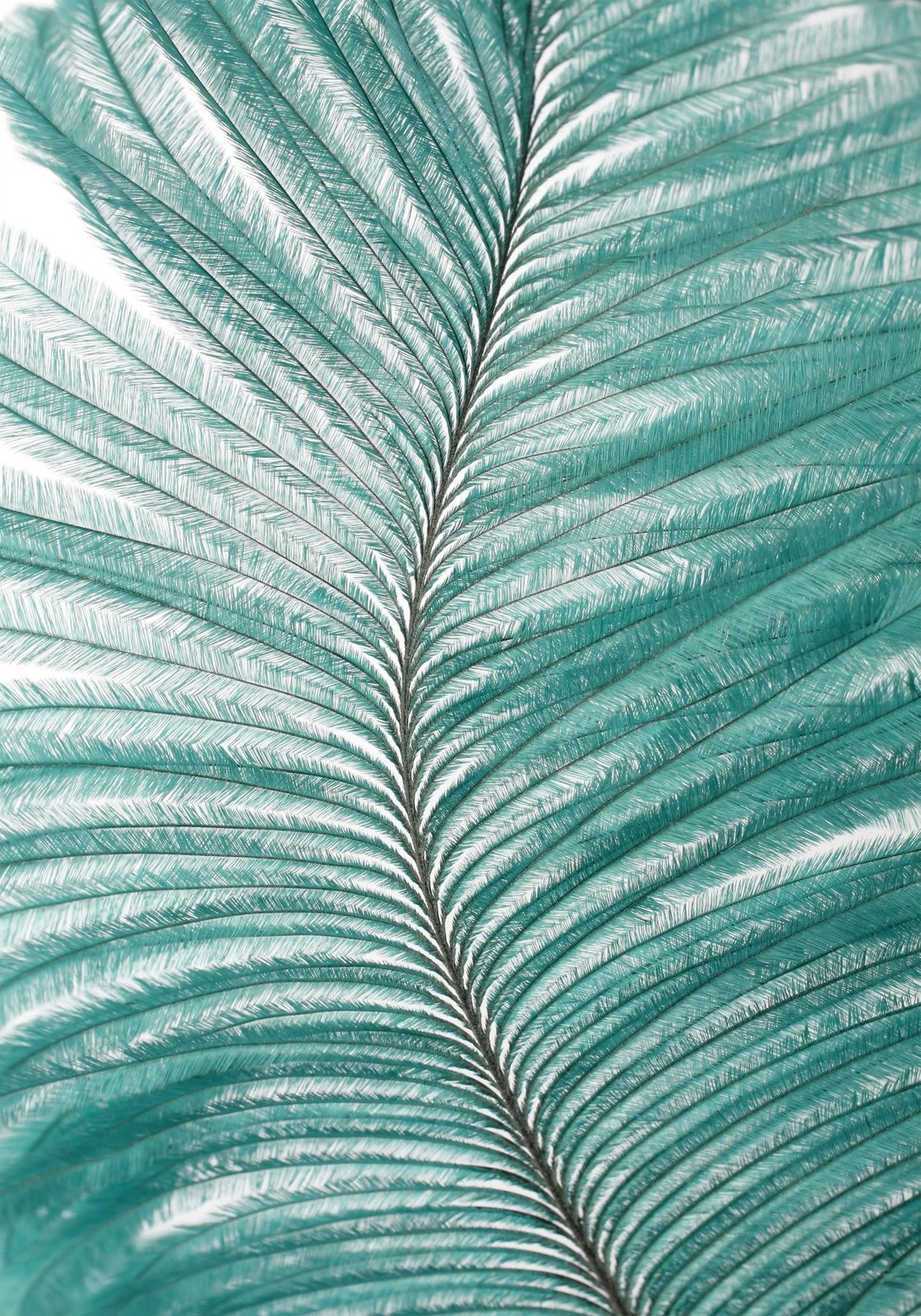 Set tapetash për banjo (2 copë), Mijolnir, CT-5320