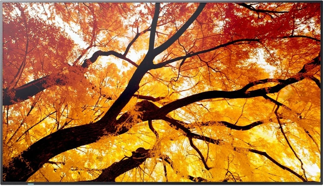 Monitor formati i madh Sharp MultiSync M502 50" 4K 550 cd/m² 60 Hz USB-C LAN altoparlantë, e zezë