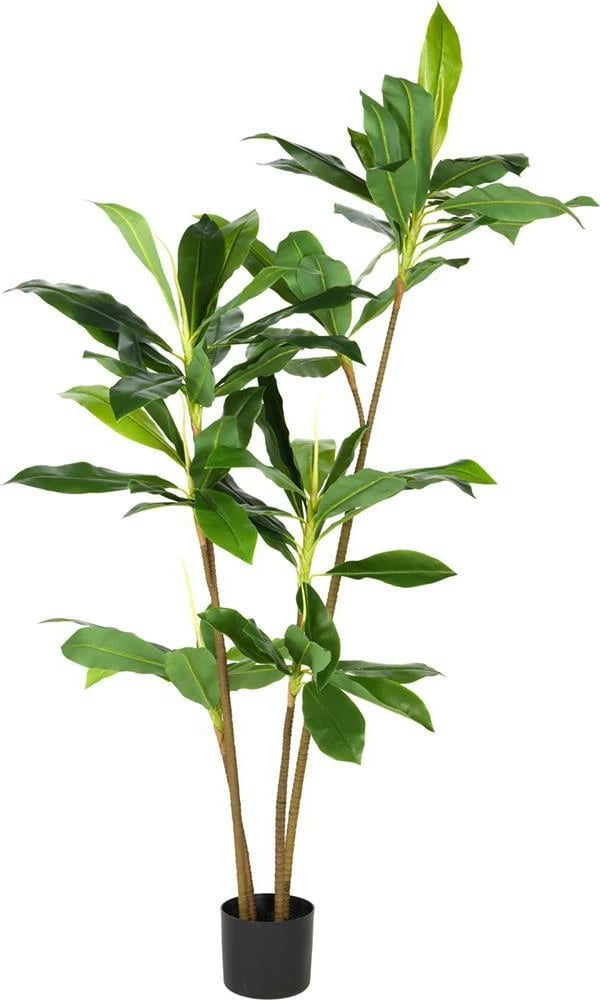 Bimë artificiale Dracaena NEXT, 175cm, me vazo plastike të zezë