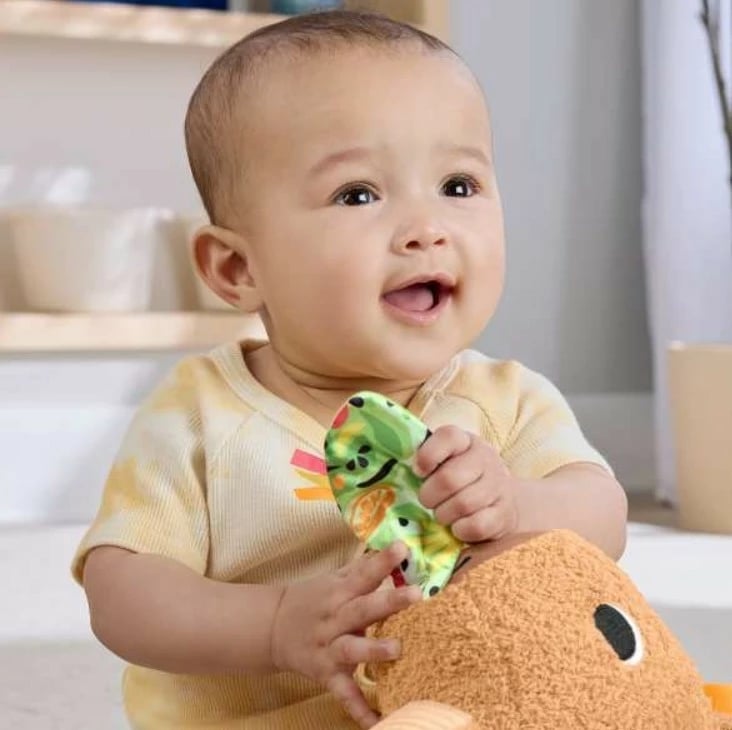 Lodër pelushi sensorike Fisher Price Capybara HYR54, shumëngjyrëshe