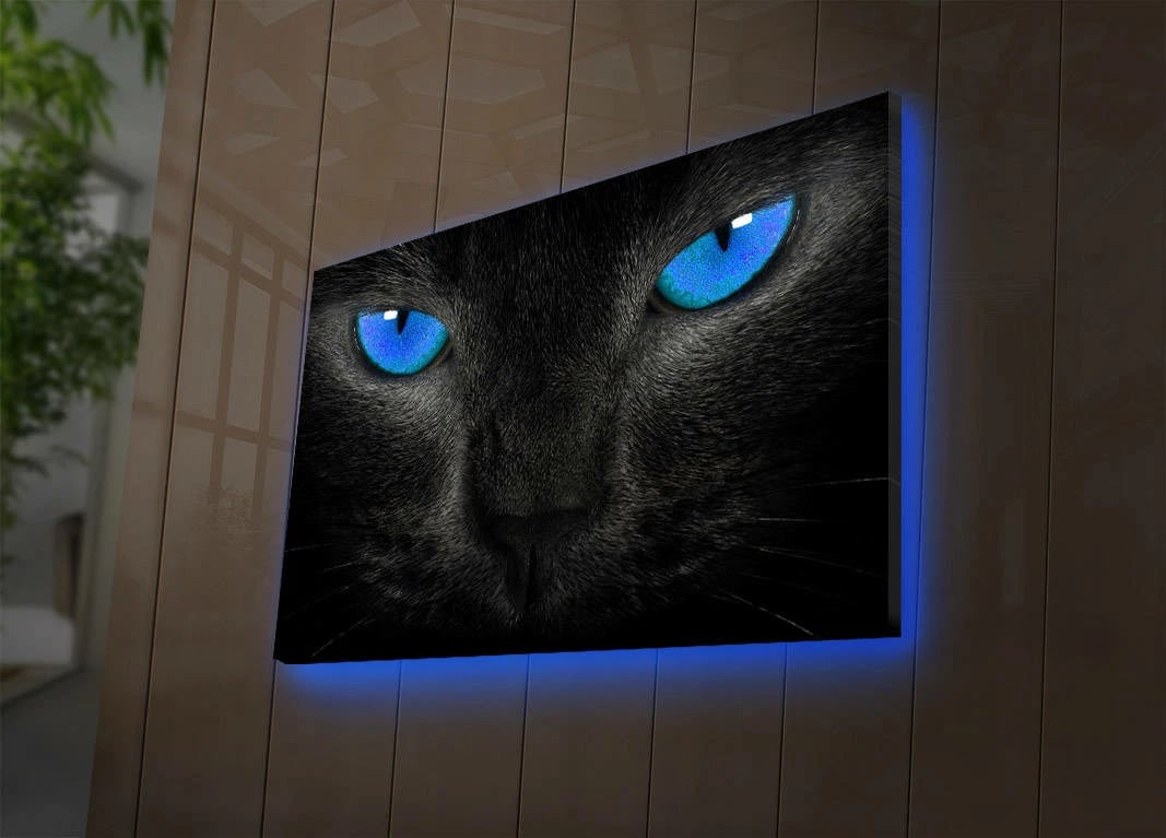 Pikturë dekorative me LED, kanavacë, mace me sy të kaltër, 45x70cm