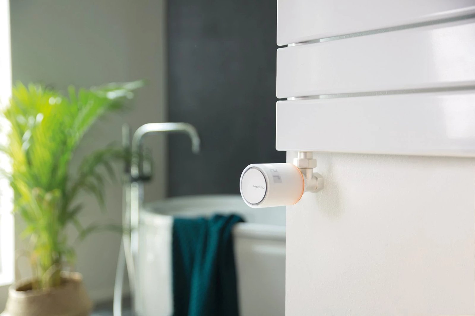 Valvula radiatorësh smart Netatmo Starter Pack, e bardhë