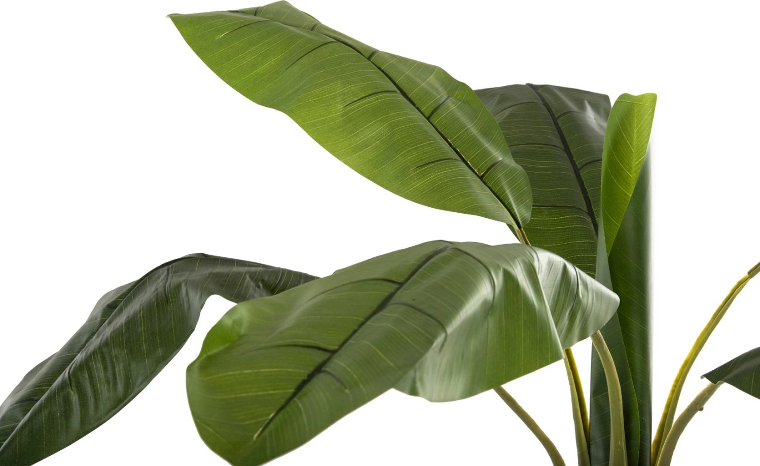 Bimë sintetike dekorative, pemë bananeje, FH7979, 180H cm