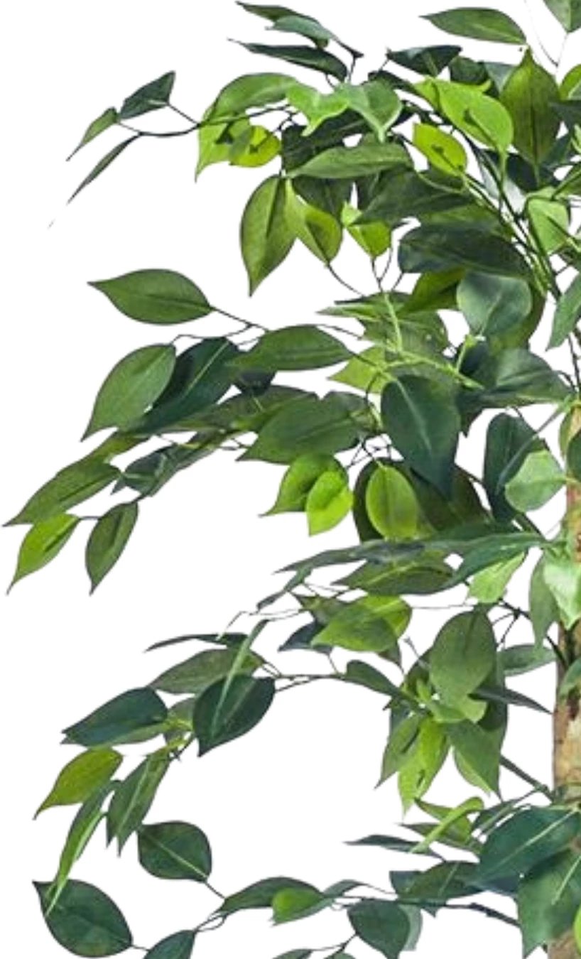 Bimë artificiale Ficus Tree, 160 cm