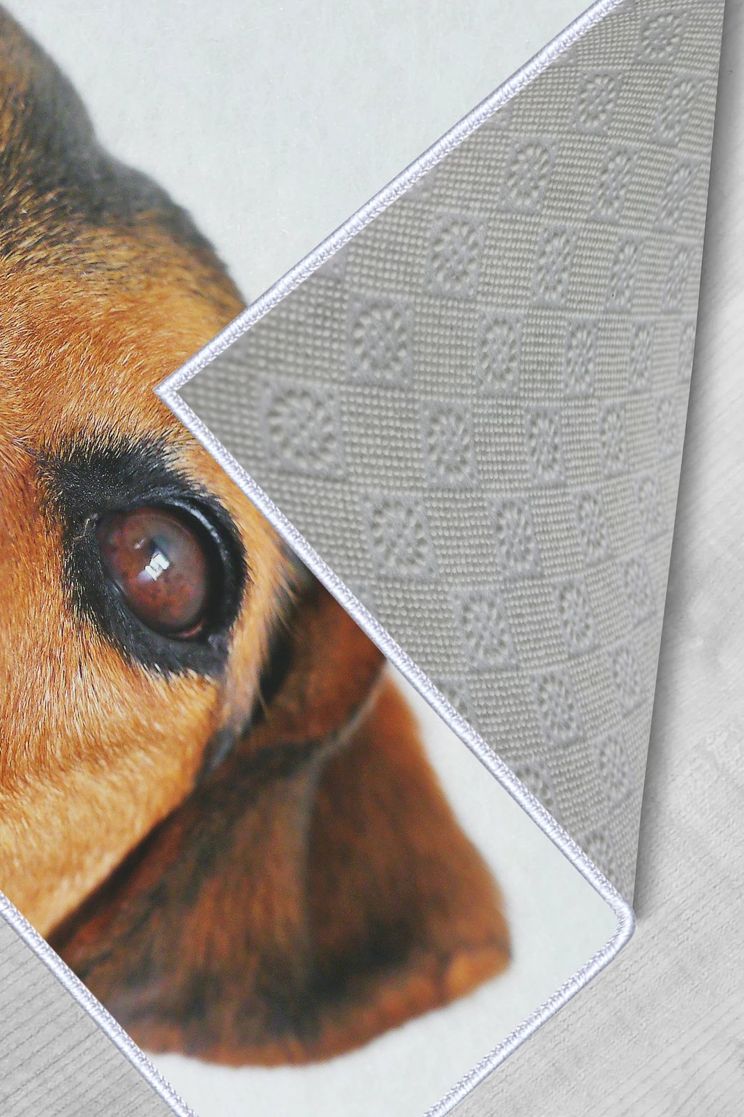 Qilim për korridor, shumëngjyrësh, Conceptum Hypnose, WOOKECE082, 100x200cm