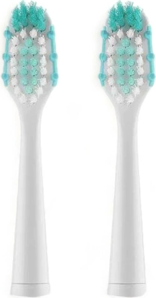 Aksesorë Për Furçë Dhëmbësh ETA SONETIC 070990200