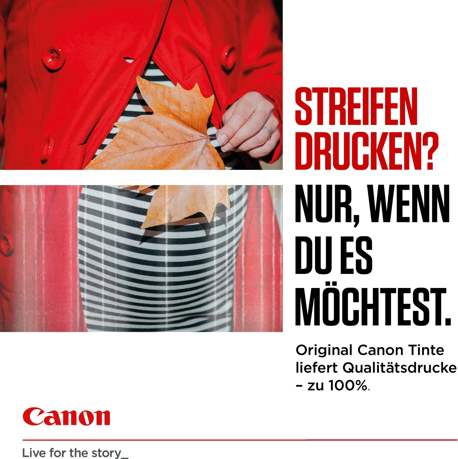 Toner Canon PG-540/CL-541 multipak, origjinal, standard, i zi dhe me ngjyra
