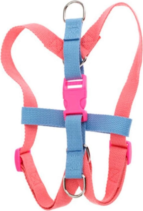 Parzmore qeni KOOPMAN 36-42cm, Rozë-Blu