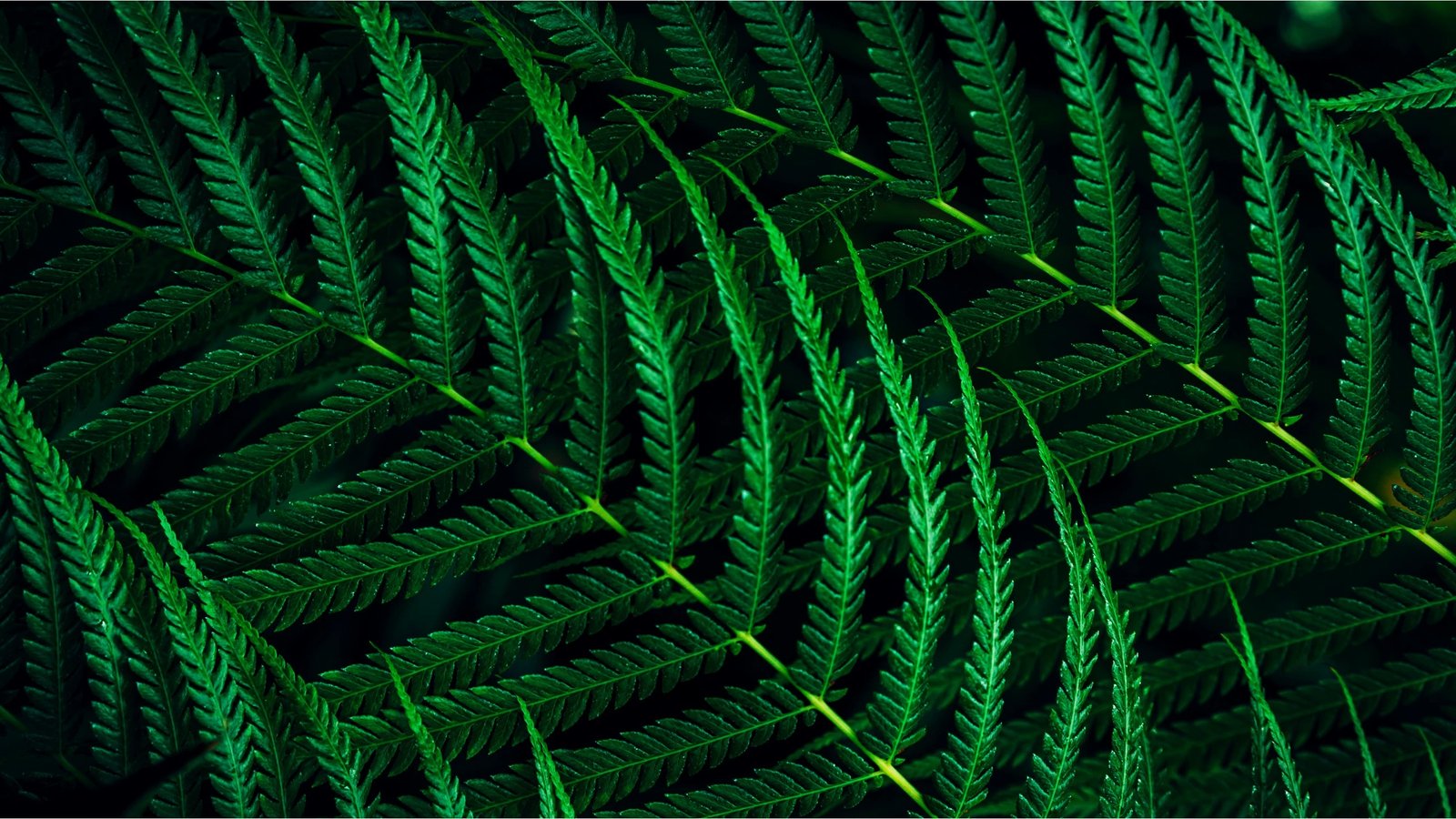 Monitor Philips 5000 series 27B2G5200/00, 27", Full HD, LCD, Anthracite