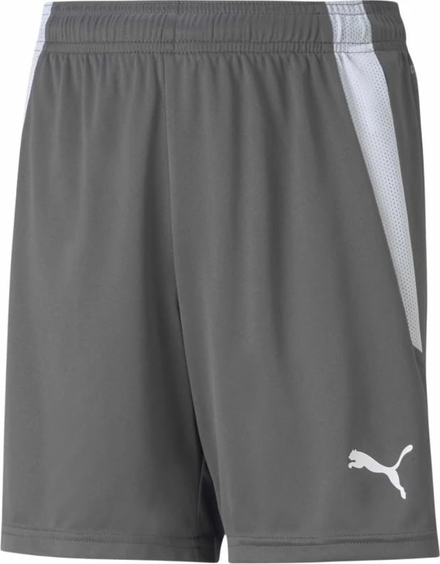 Shorce për fëmijë Puma, gri