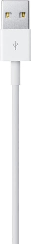 Apple Lightning to USB Cable, 1m