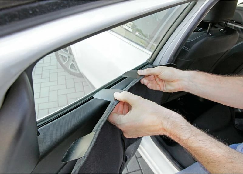 Mbrojtese Dere Per Kafshe