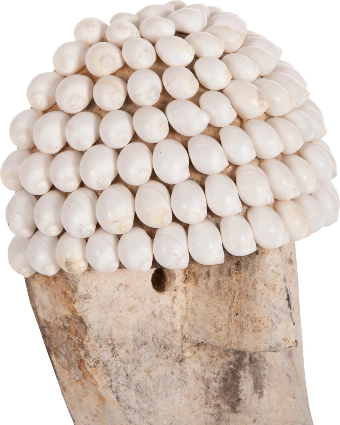 Dekor tavoline, fytyrë prej druri dhe guaskash, në qëndrim metalik të zi, FH4314, 16x11x32H cm