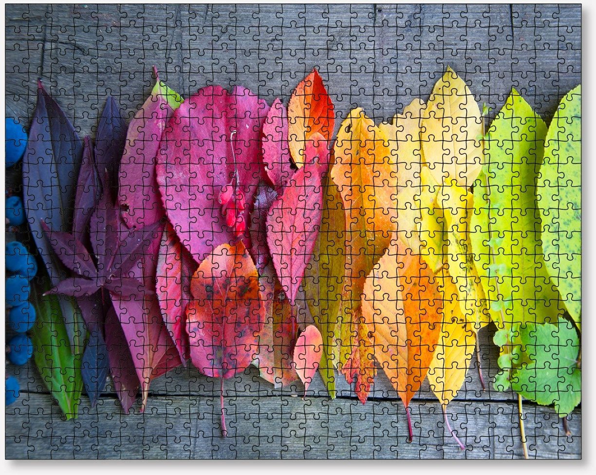Puzzle 500 copa, Evila Originals, shumëngjyrësh, PZL_0186_500