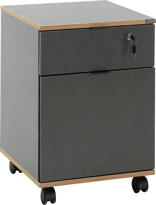 Dollap multifunksional Hanah Home, Rkm-311-Ax-1, antracit dhe lis, 41x61x41cm