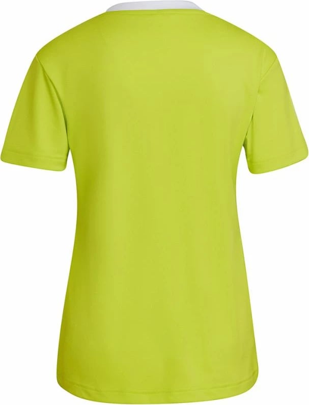 Maicë për Femra adidas Entrada 22 Jsy, ngjyrë jeshile HC5080