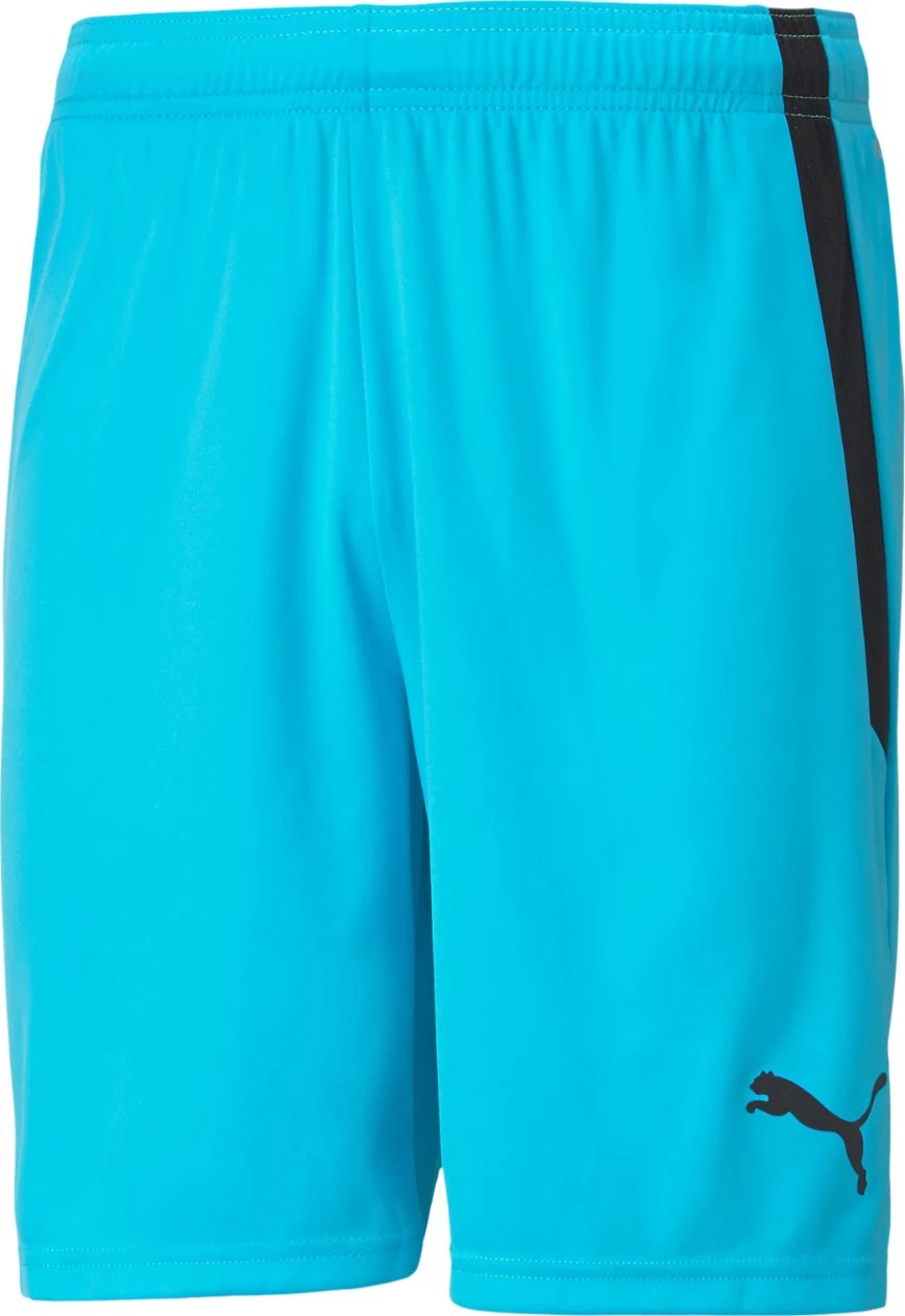 Shorce për meshkuj Puma, blu