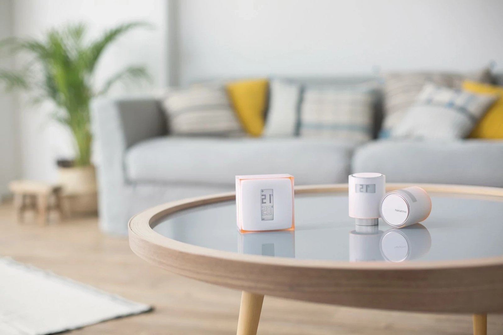 Valvula radiatorësh smart Netatmo Starter Pack, e bardhë