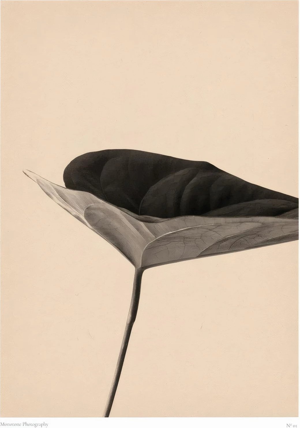 Pikturë dekorative me kornizë, Wallity, Lmnmdl44, shumëngjyrëshe, 33x48cm