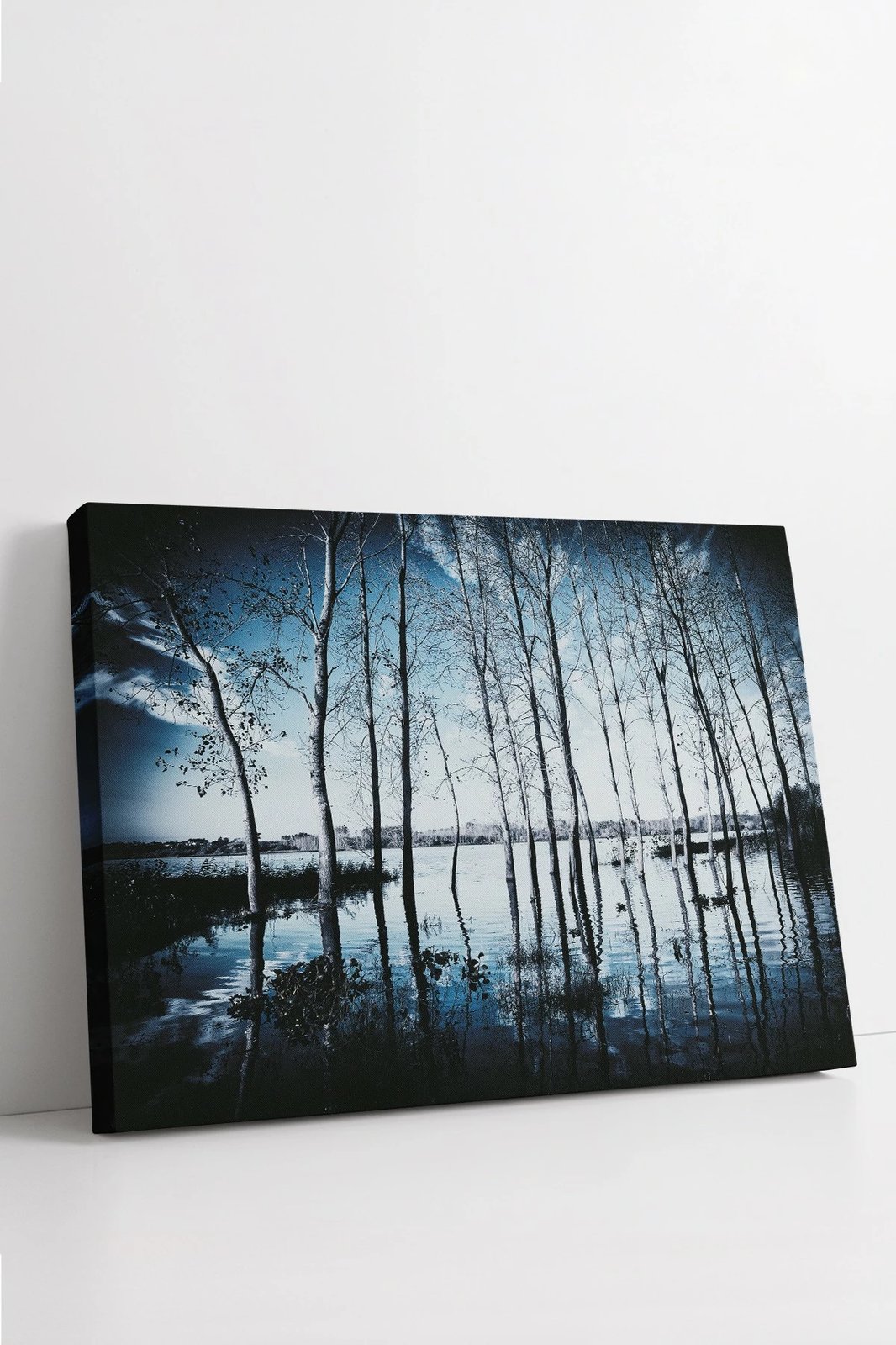 Pikturë dekorative në kanavacë, Wallity, Ersyfdc227, 40x60cm