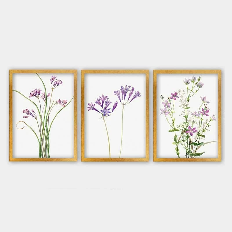 Pikturë dekorative me kornizë (3 copë), Wallity, 3AC_2613520_3545