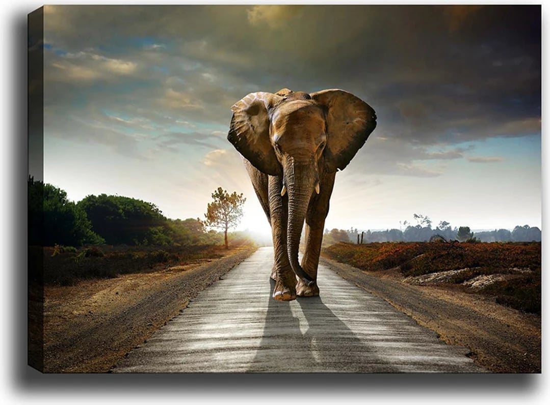 Pikturë dekorative në kanavacë, shumëngjyrëshe, 70x100cm