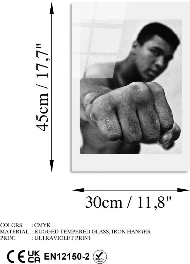 Pikturë dekorative prej xhami të temperuar Wallity, UV-991, 30x45cm