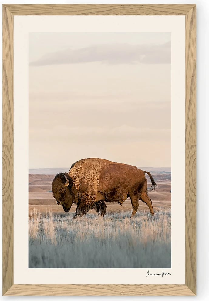 Pikturë dekorative, MDF, shumëngjyrëshe, Wallity, Tekhammdf125, 33x48cm