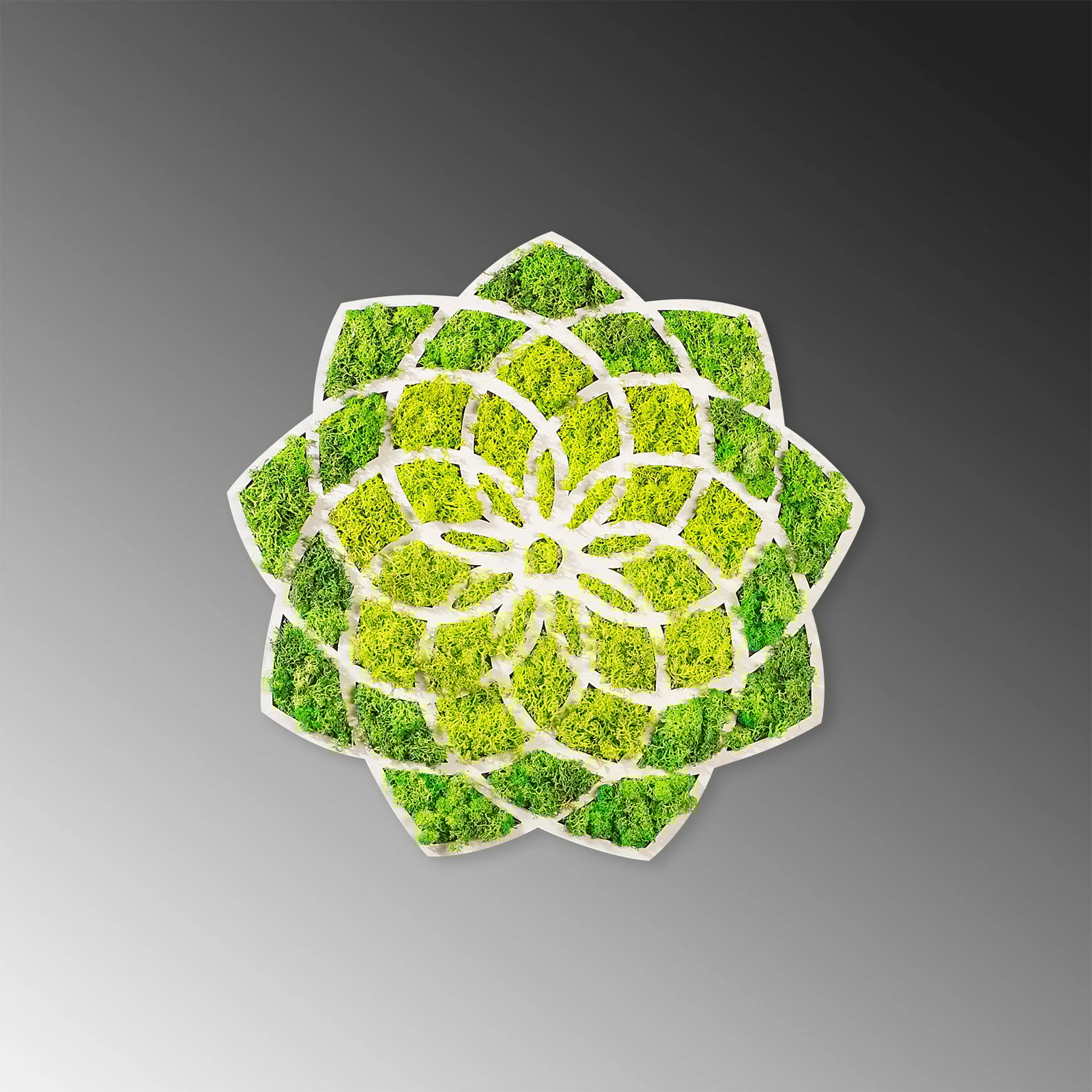 Aksesor dekorativ për mur Wallity, Daisy, jeshile dhe e bardhë